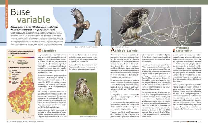  les rapaces d'Ardèche éditions de la calade Ardèche